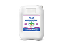 功能性成人深夜福利——都靓