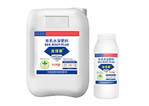 功能性成人深夜福利——金维根